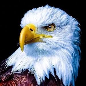 Meet your Posher, Sheila